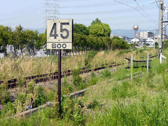 全列車４５キロ制限の速度標識
